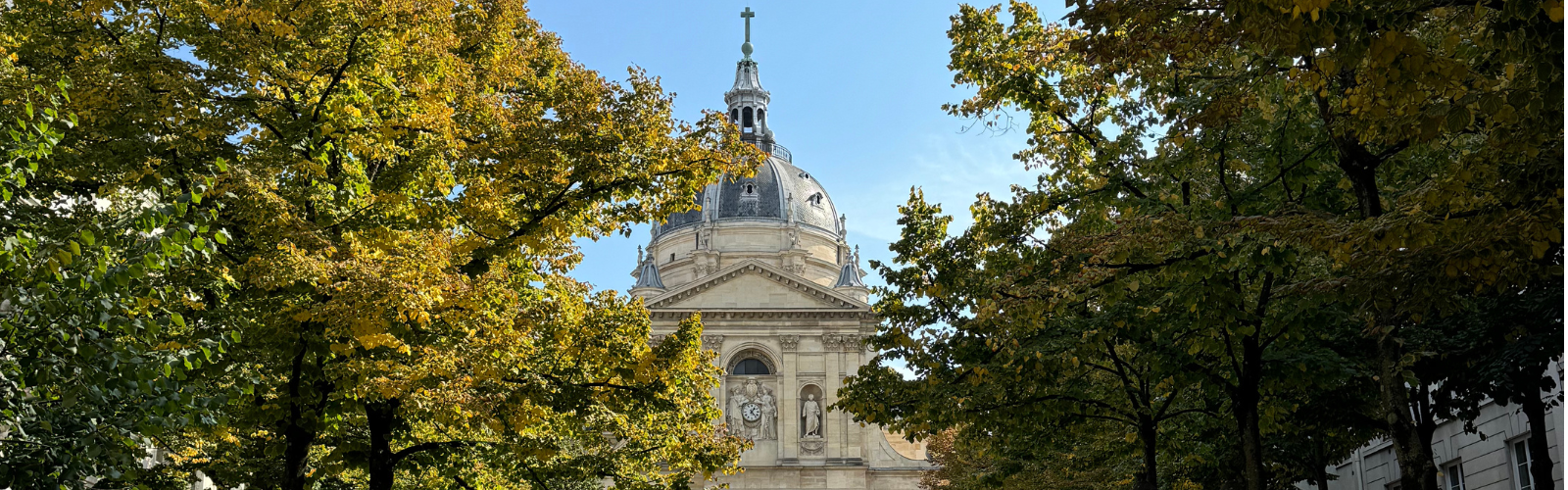Top of a Parisian cathedral. It takes a dome shape and is surrounded by trees.
